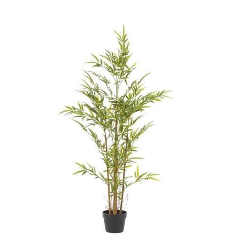 PIANTA BAMBOO 385 FOGLIE CM.90